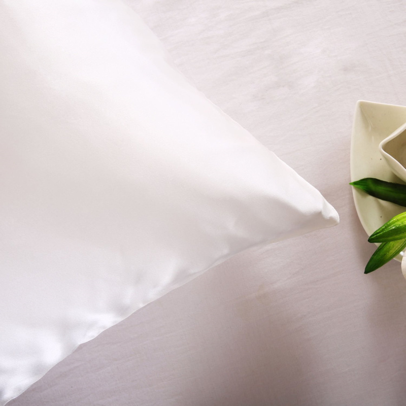 100% natuurlijke moerbeizijde  - Silk Pillowcase recensie en prijs